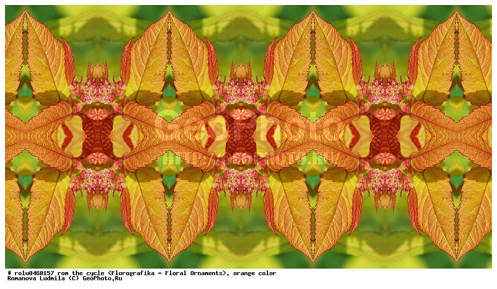 ������������������, ��������, ���������, ���������, ����, ������������, �����, ���������, ���������