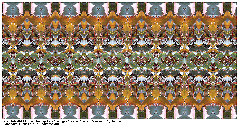 ������������������, ��������, ���������, ���������, ����, ������������, �����, ���������, ����������