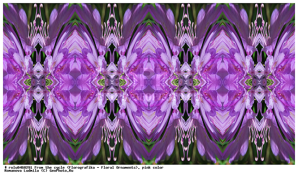 ������������������, ��������, ���������, ���������, ����, ������������, �����, ���������, �������