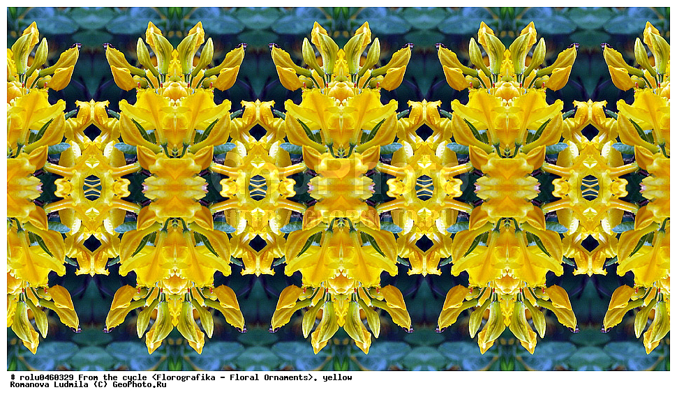 ������������������, ��������, ���������, ���������, ����, ������������, �����, ���������, ������