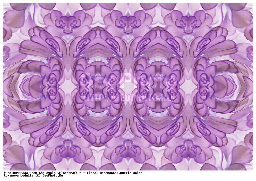 ������������������, ��������, ���������, ���������, ����, ������������, �����, ���������, ����������