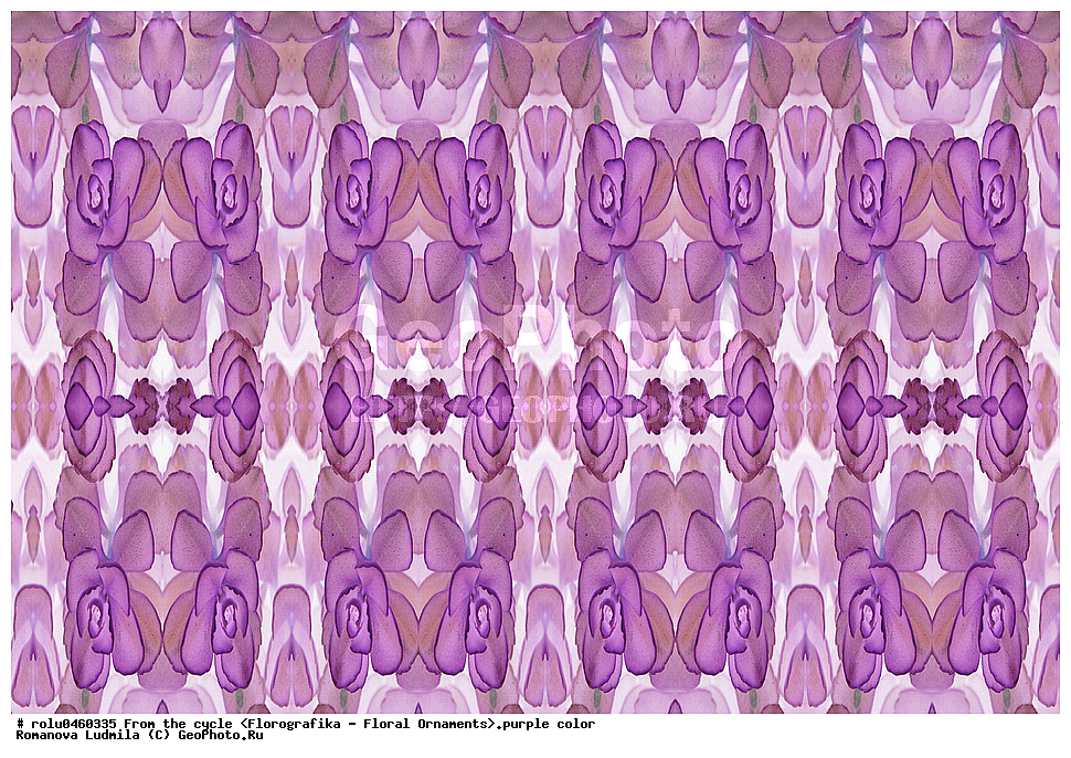 ������������������, ��������, ���������, ���������, ����, ������������, �����, ���������, ����������