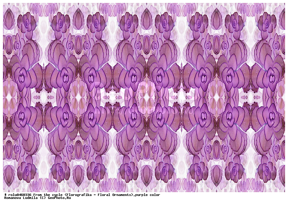 ������������������, ��������, ���������, ���������, ����, ������������, �����, ���������, ����������