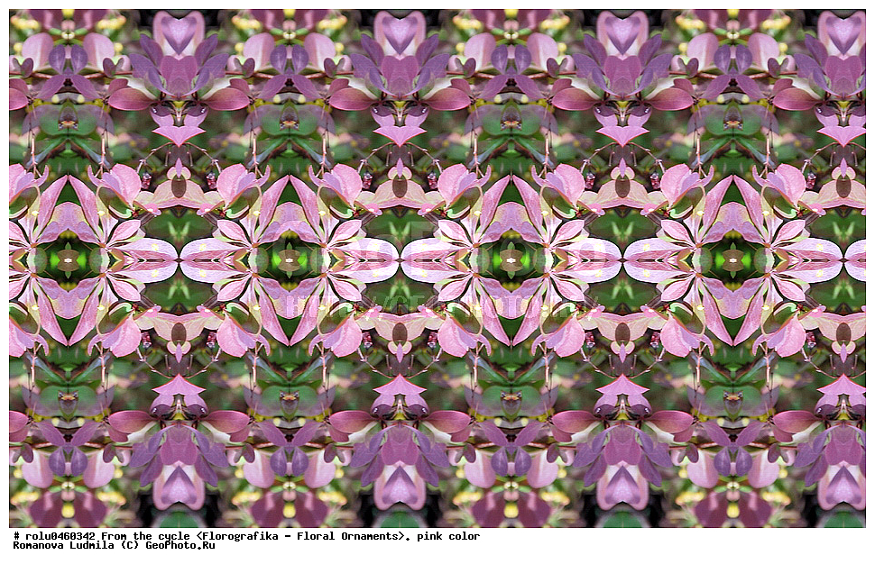 ������������������, ��������, ���������, ���������, ����, ������������, �����, ���������, �������