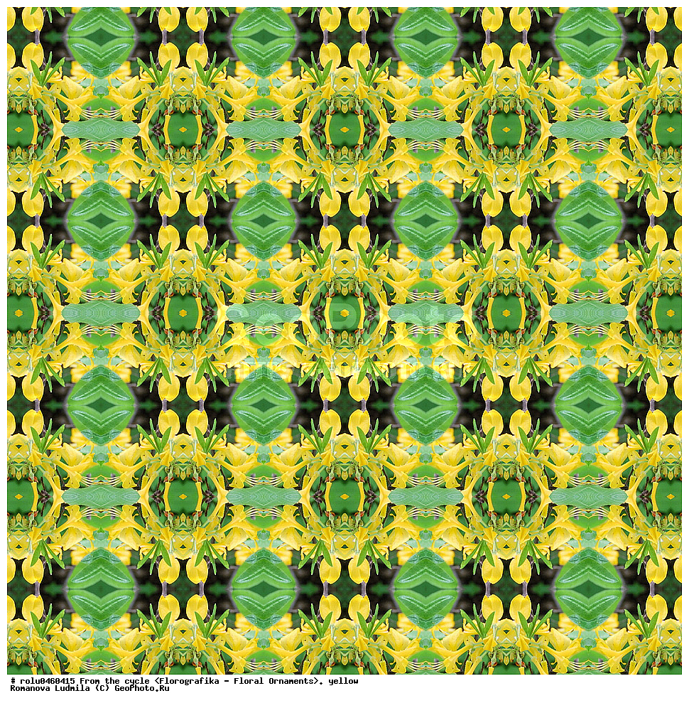 ������������������, ��������, ���������, ���������, ����, ������������, �����, ���������, ������