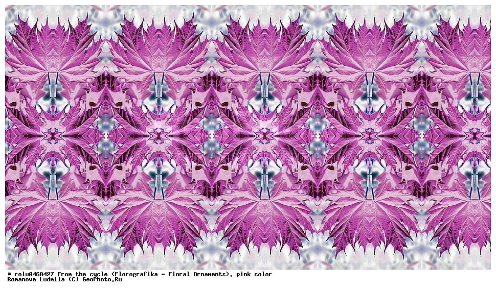 ������������������, ��������, ���������, ���������, ����, ������������, �����, ���������, �������