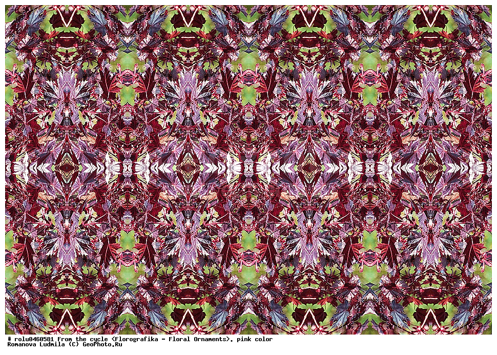 ������������������, ��������, ���������, ���������, ����, ������������, �����, ���������, �������