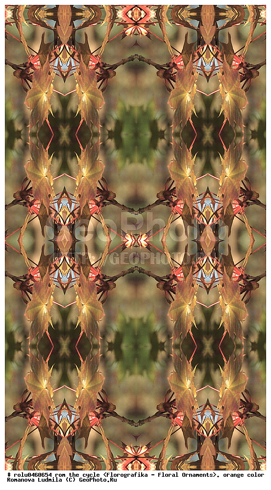 ������������������, ��������, ���������, ���������, ����, ������������, �����, ���������, ���������