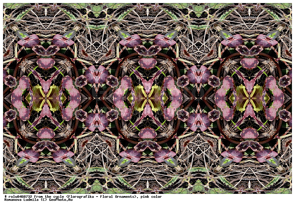 ������������������, ��������, ���������, ���������, ����, ������������, �����, ���������, �������