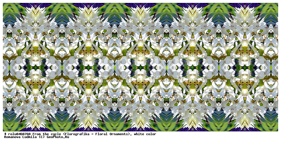 ������������������, ��������, ���������, ���������, ����, ������������, �����, ���������, �����