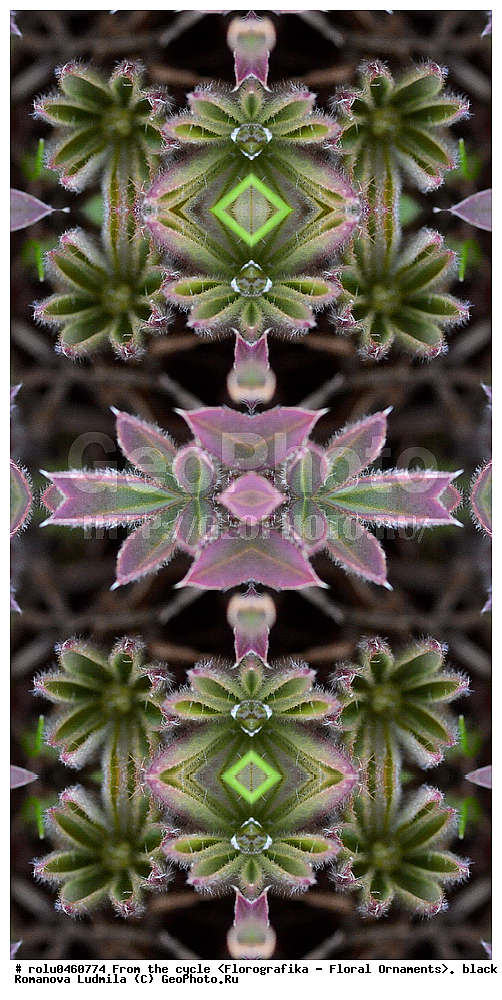 ������������������, ��������, ���������, ���������, ����, ������������, �����, ���������, ������