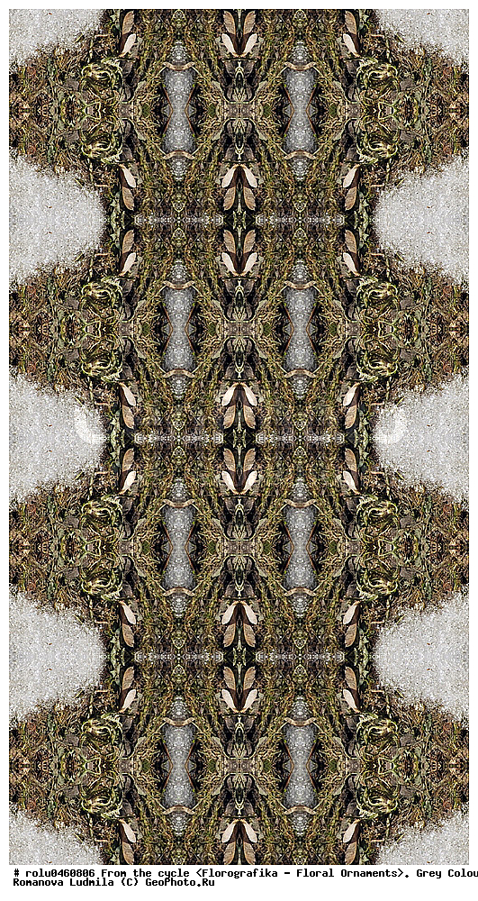 ������������������, ��������, ���������, ���������, ����, ������������, �����, ���������, �����