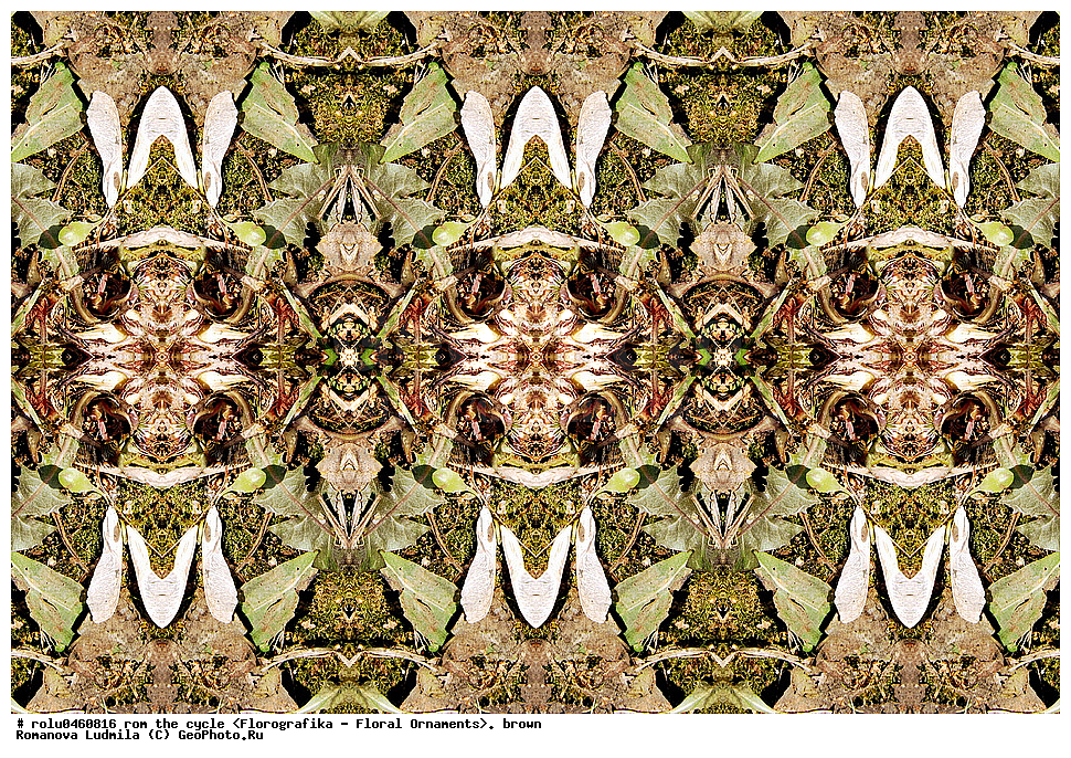 ������������������, ��������, ���������, ���������, ����, ������������, �����, ���������, ����������