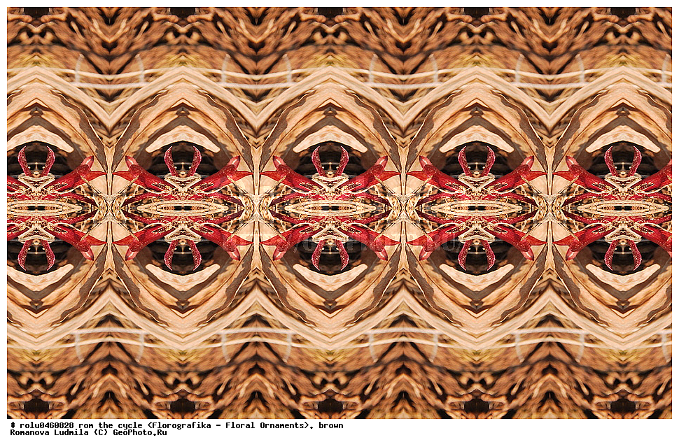 ������������������, ��������, ���������, ���������, ����, ������������, �����, ���������, ����������