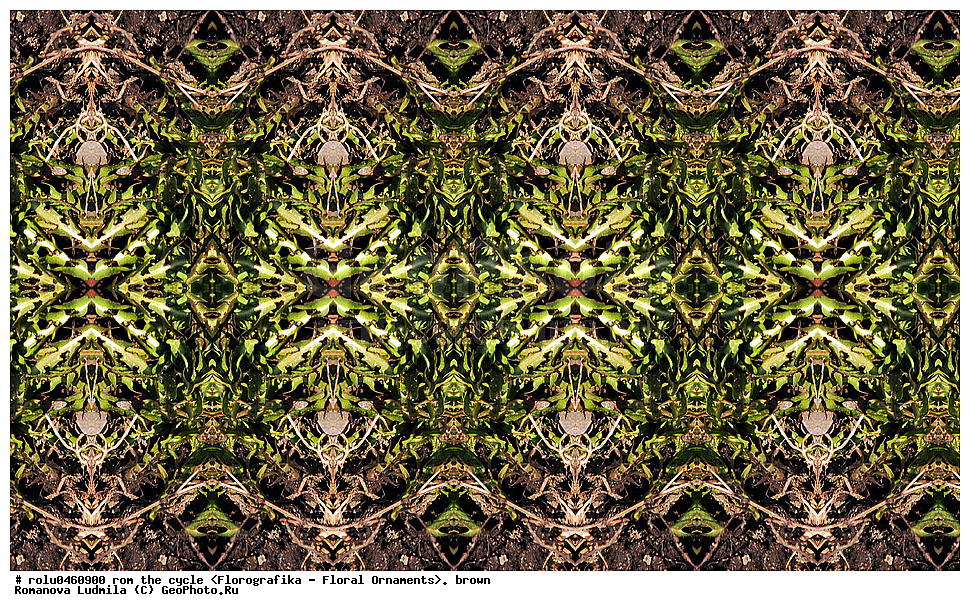 ������������������, ��������, ���������, ���������, ����, ������������, �����, ���������, ����������