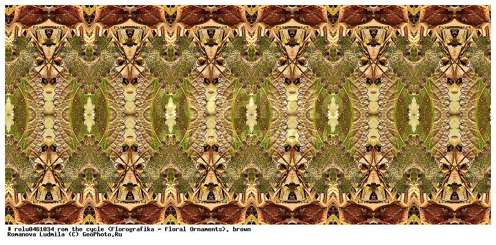 ������������������, ��������, ���������, ���������, ����, ������������, �����, ���������, ����������