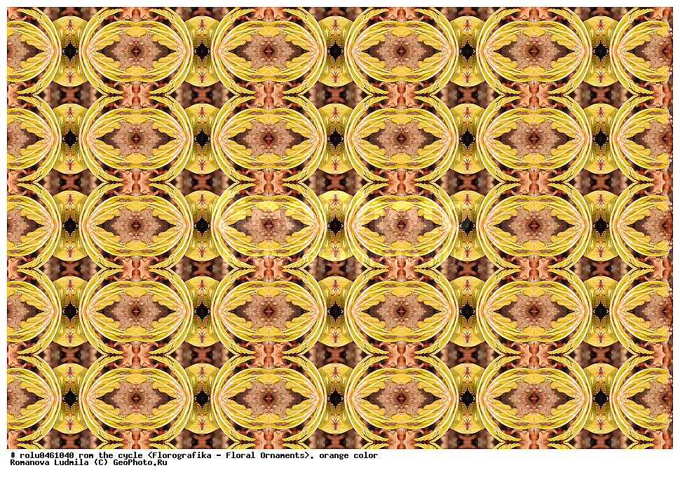 ������������������, ��������, ���������, ���������, ����, ������������, �����, ���������, ���������