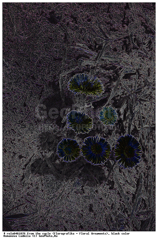 ������������������, ��������, ���������, ���������, ����, ������������, �����, ���������, ������