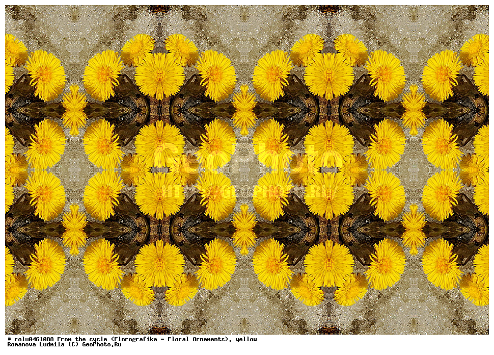 ������������������, ��������, ���������, ���������, ����, ������������, �����, ���������, ������