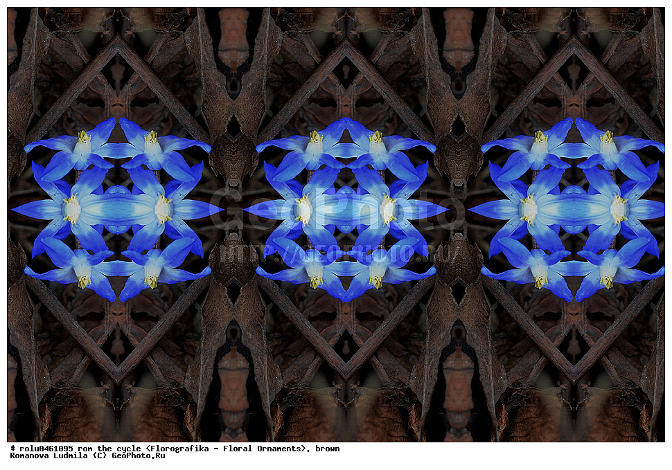 ������������������, ��������, ���������, ���������, ����, ������������, �����, ���������, ����������