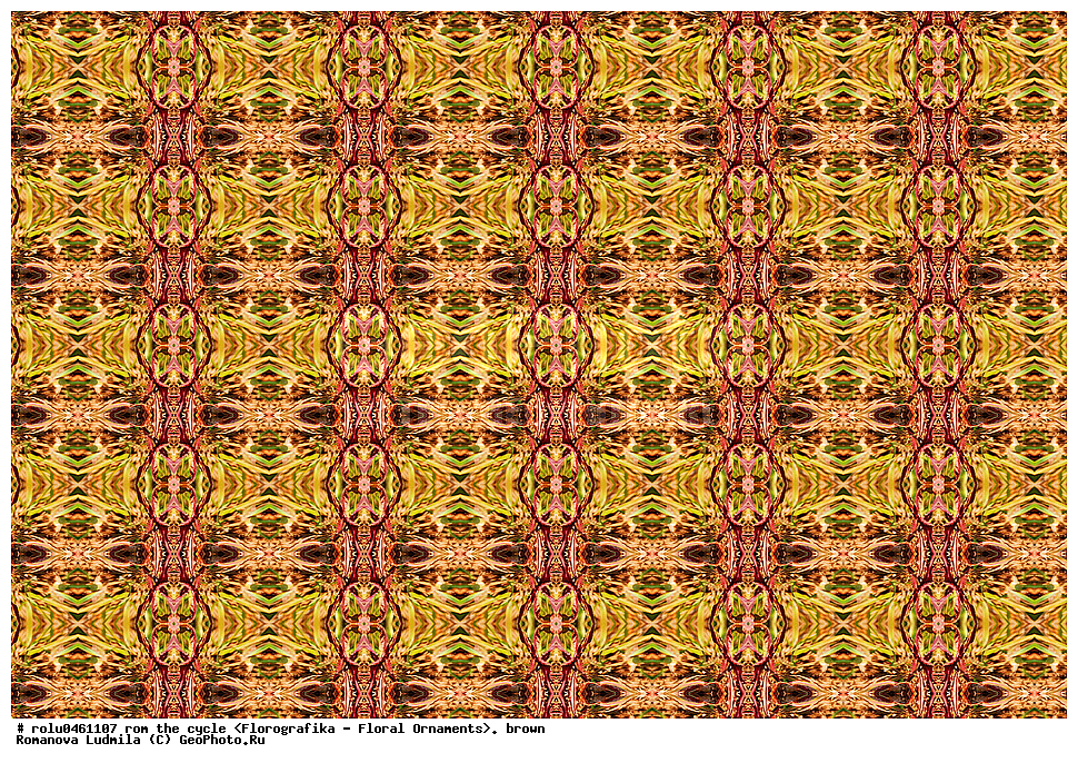 ������������������, ��������, ���������, ���������, ����, ������������, �����, ���������, ����������