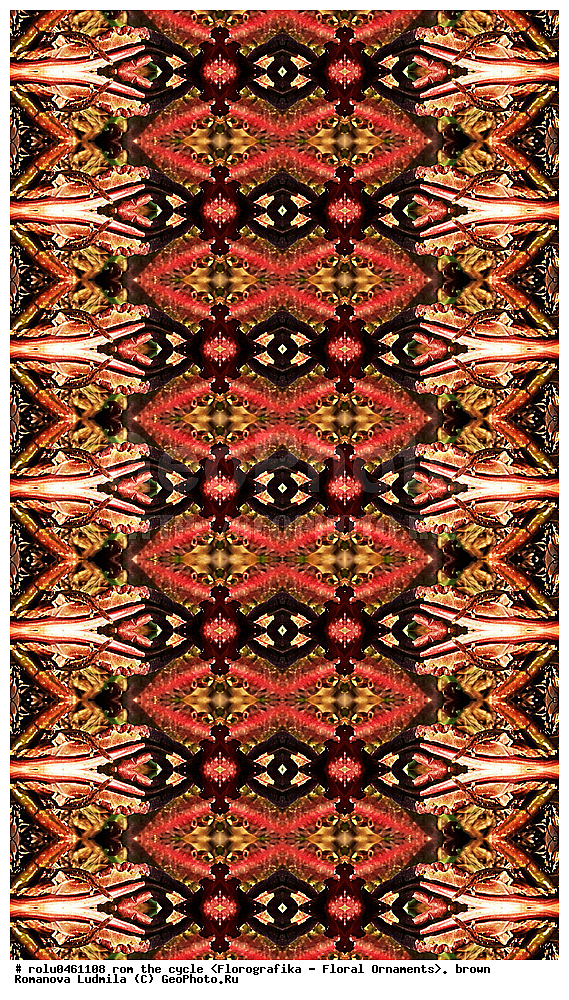 ������������������, ��������, ���������, ���������, ����, ������������, �����, ���������, ����������