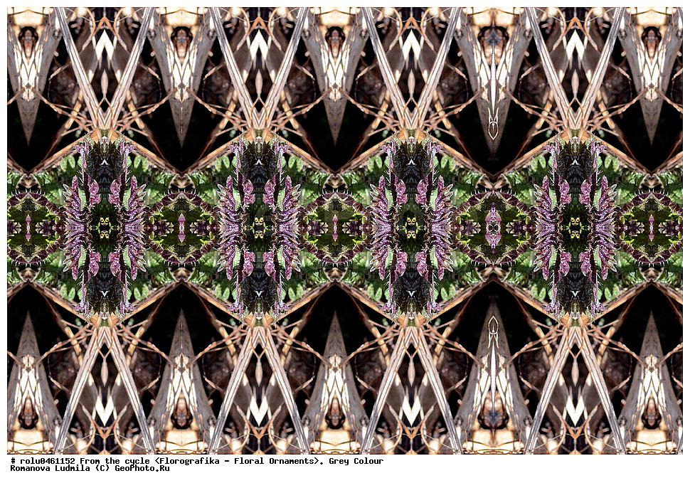 ������������������, ��������, ���������, ���������, ����, ������������, �����, ���������, �����