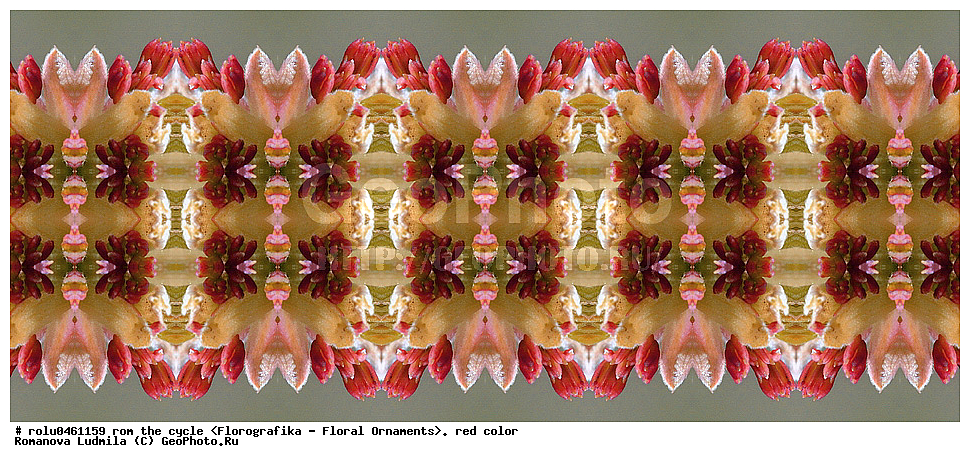 ������������������, ��������, ���������, ���������, ����, ������������, �����, ���������, �������