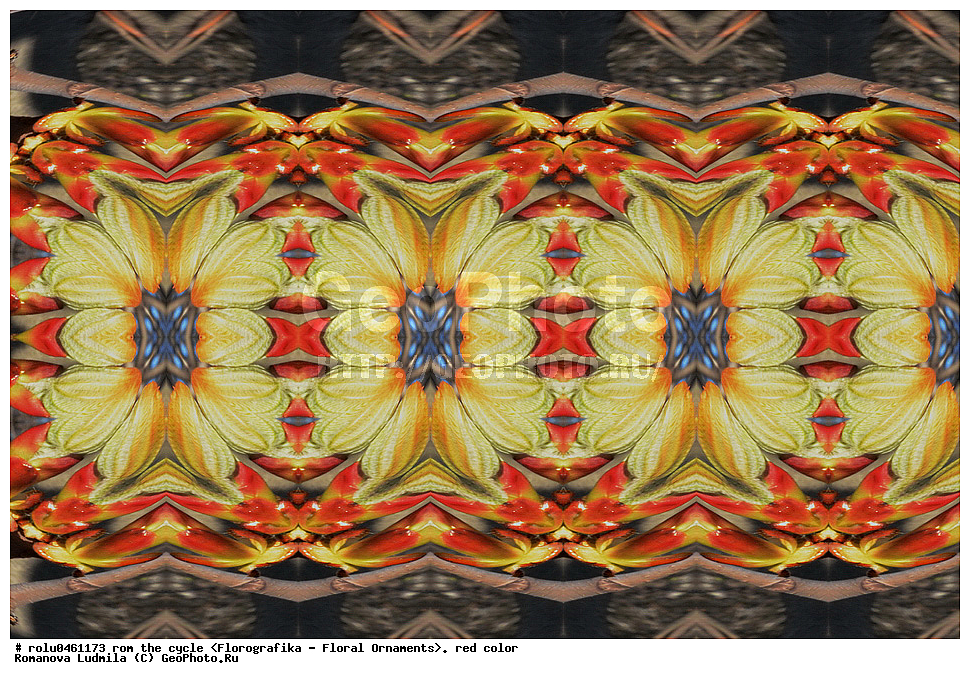 ������������������, ��������, ���������, ���������, ����, ������������, �����, ���������, �������