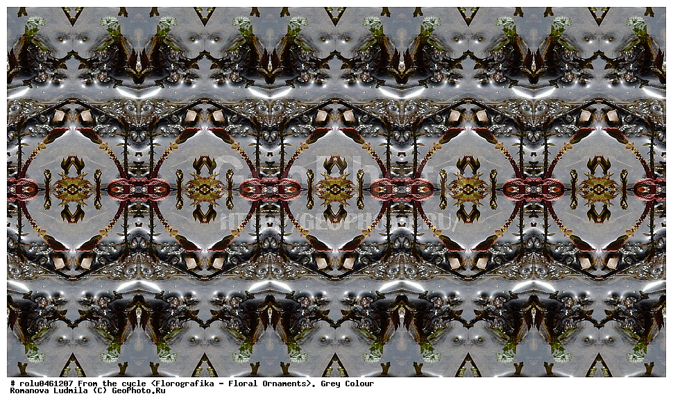 ������������������, ��������, ���������, ���������, ����, ������������, �����, ���������, �����