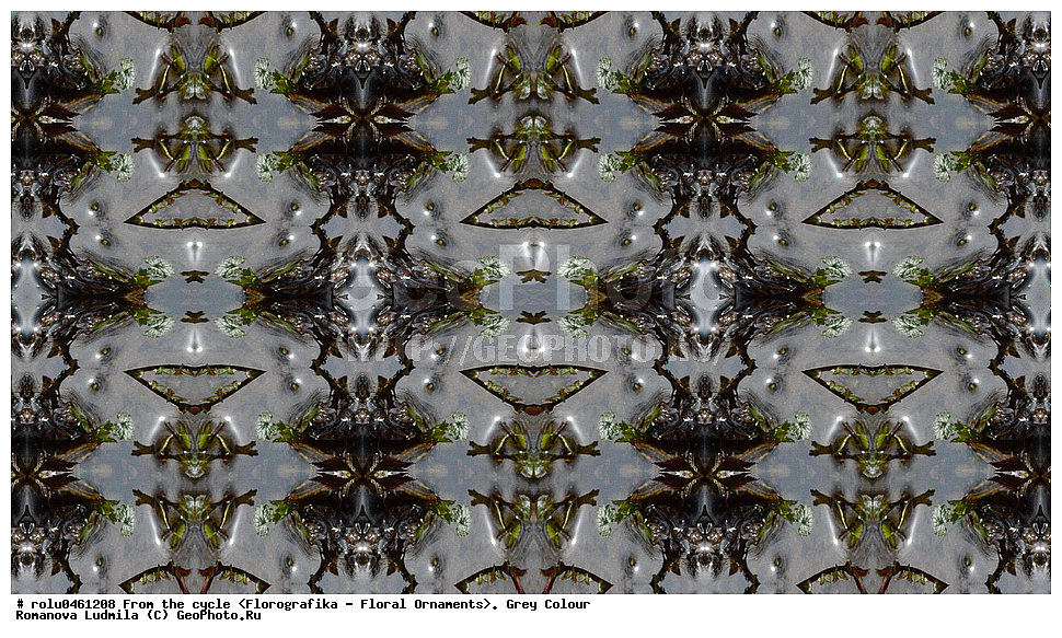 ������������������, ��������, ���������, ���������, ����, ������������, �����, ���������, �����