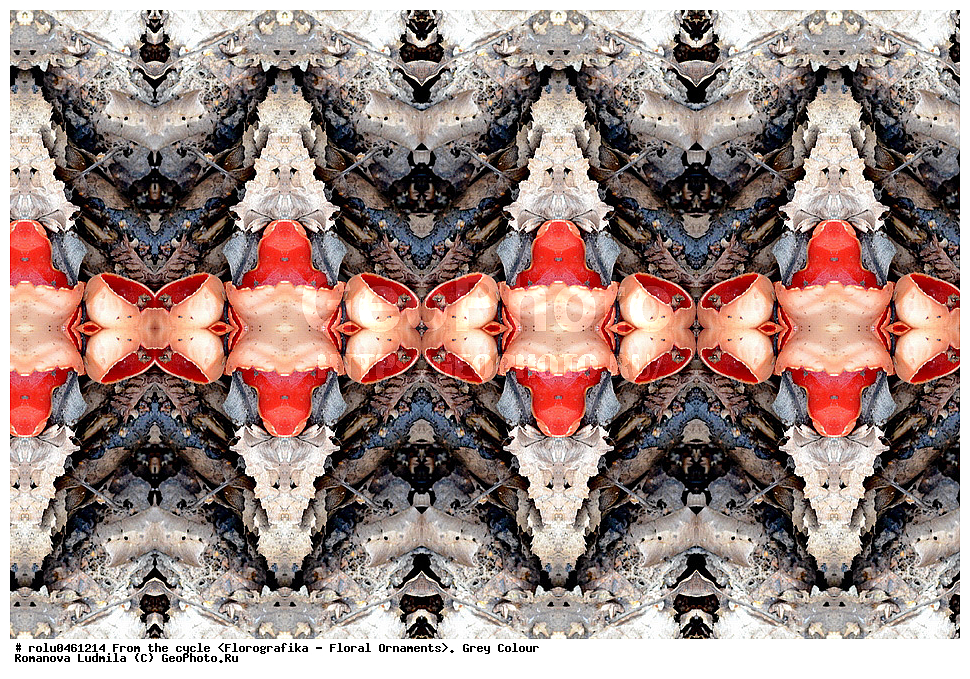 ������������������, ��������, ���������, ���������, ����, ������������, �����, ���������, �����