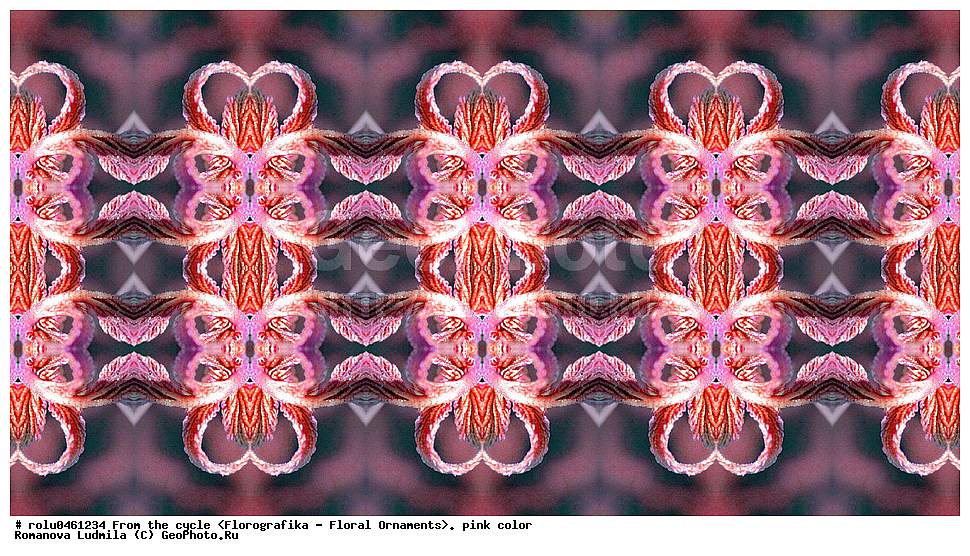 ������������������, ��������, ���������, ���������, ����, ������������, �����, ���������, �������