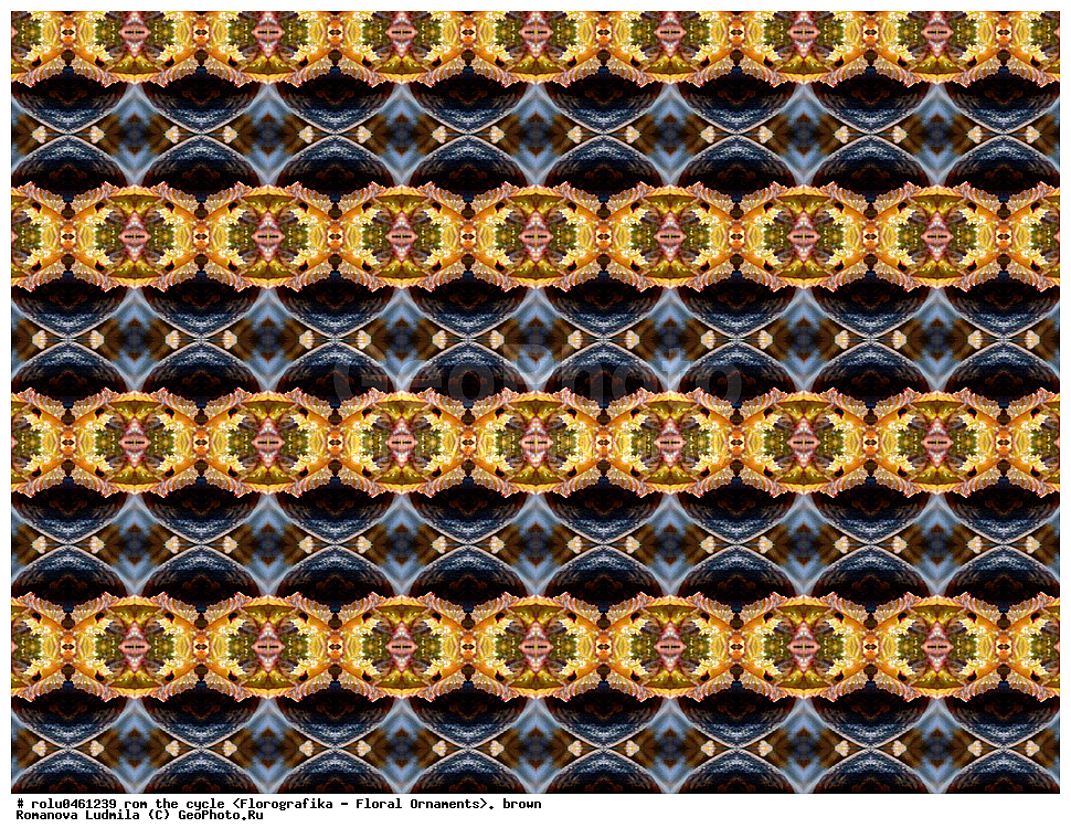 ������������������, ��������, ���������, ���������, ����, ������������, �����, ���������, ����������