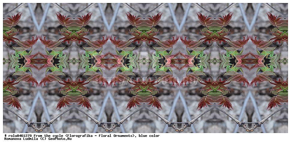 ������������������, ��������, ���������, ���������, ����, ������������, �����, ���������, �����