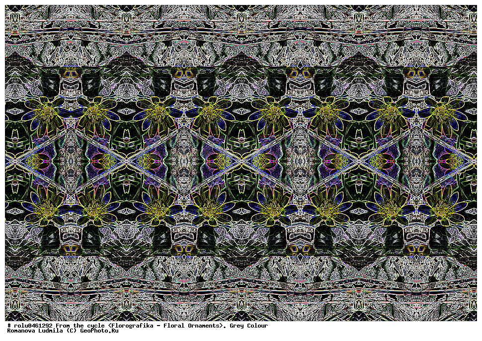 ������������������, ��������, ���������, ���������, ����, ������������, �����, ���������, �����