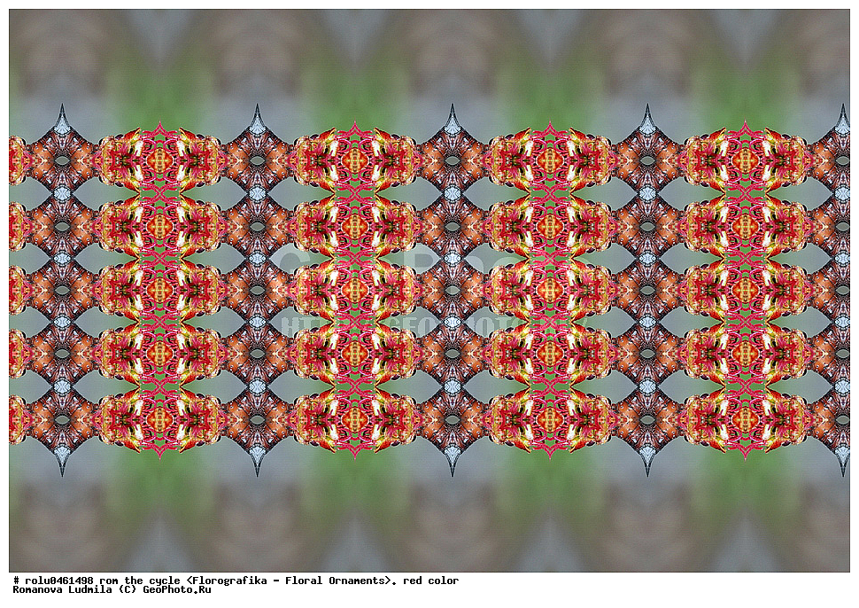 ������������������, ��������, ���������, ���������, ����, ������������, �����, ���������, �������