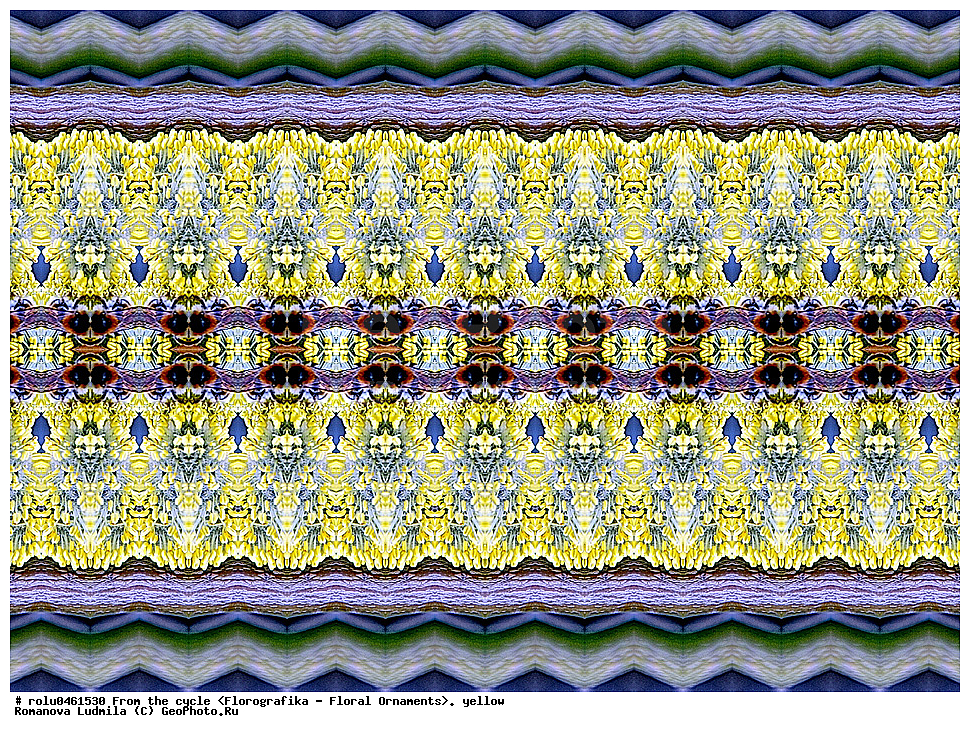 ������������������, ��������, ���������, ���������, ����, ������������, �����, ���������, ������