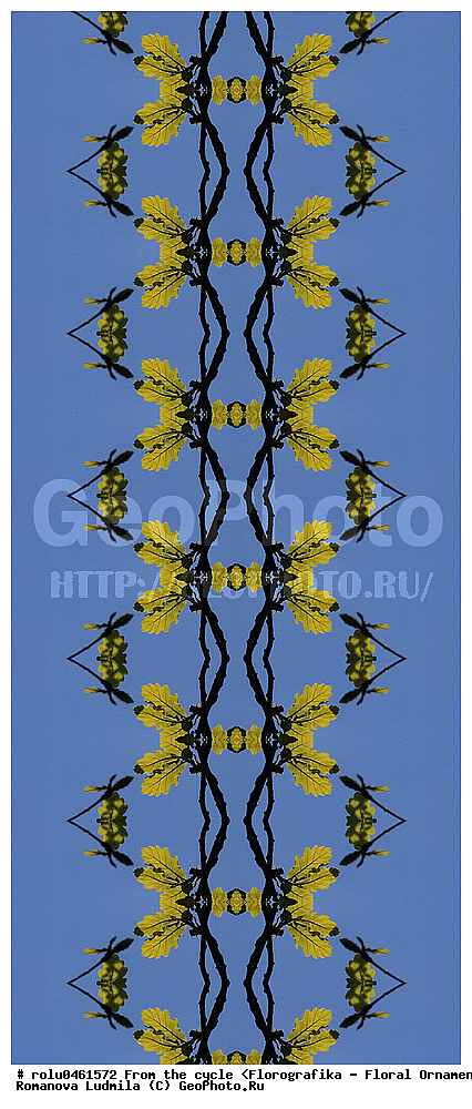 ������������������, ��������, ���������, ���������, ����, ������������, �����, ���������, �����