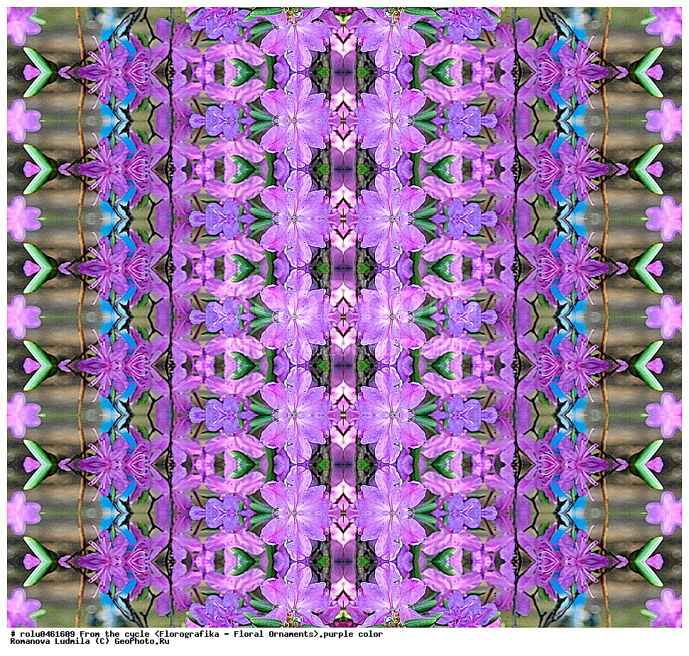 ������������������, ��������, ���������, ���������, ����, ������������, �����, ���������, ����������