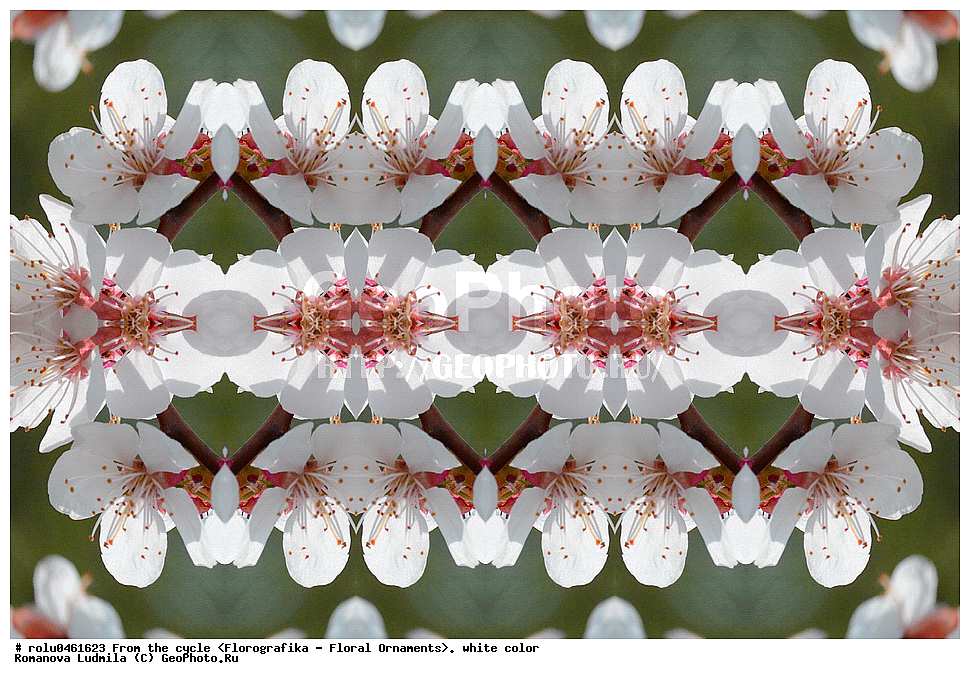 ������������������, ��������, ���������, ���������, ����, ������������, �����, ���������, �����