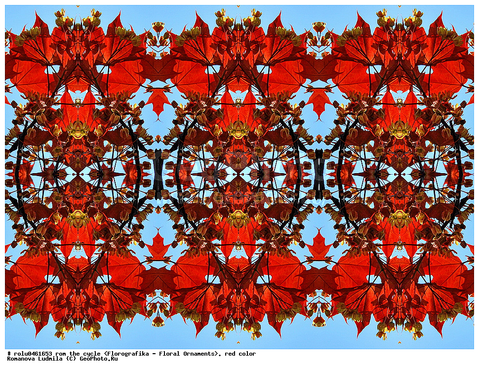 ������������������, ��������, ���������, ���������, ����, ������������, �����, ���������, �������