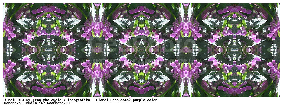 ������������������, ��������, ���������, ���������, ����, ������������, �����, ���������, ����������