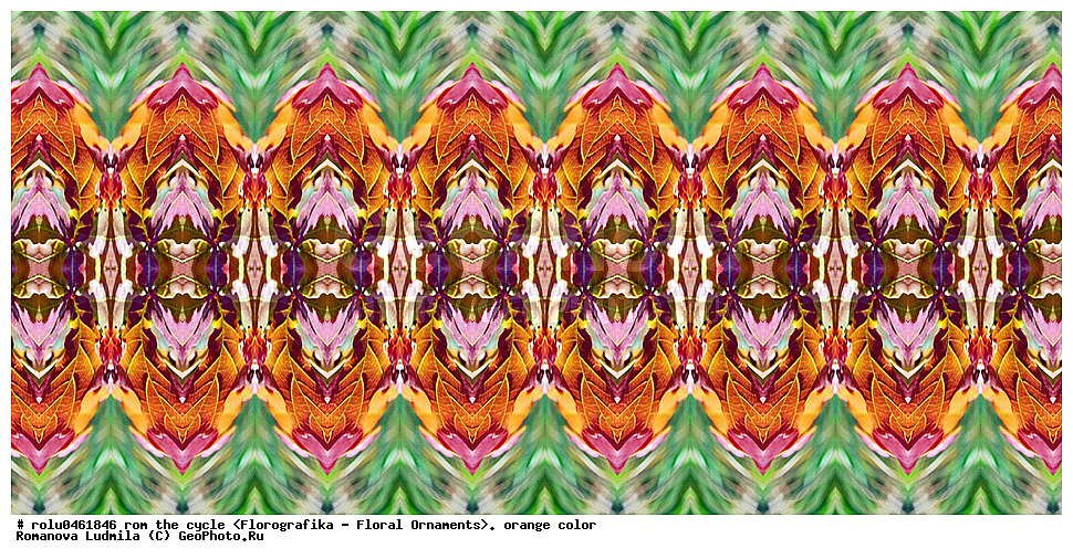 ������������������, ��������, ���������, ���������, ����, ������������, �����, ���������, ���������