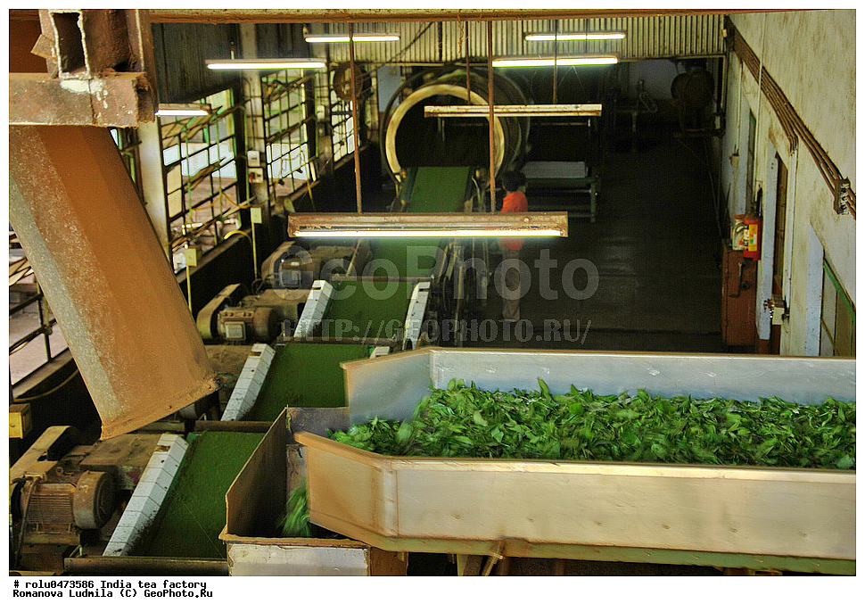 �����, ���, �������