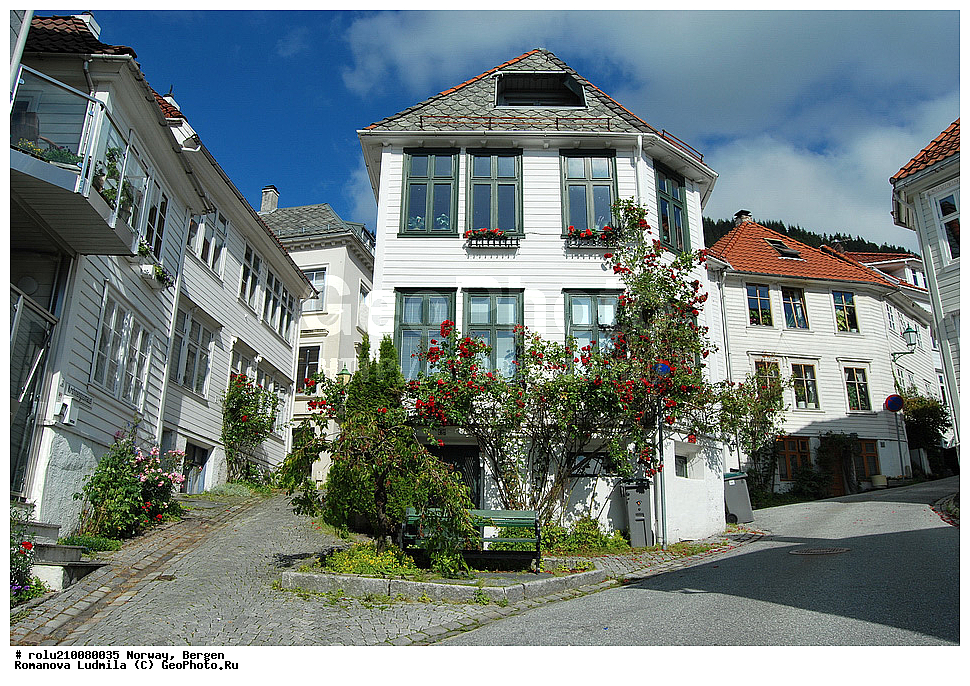 ��������, ������, ������, �����������