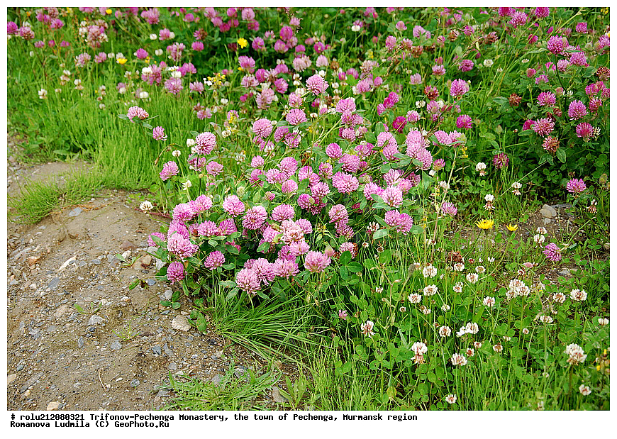 �������-����������, ���������, �����, �������, ���������� �������, �������� ����������, ������, �����, ������-�����, ������� � ���������