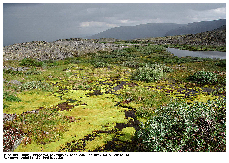 �������� ����������, ����� �������, �������� ����������, ����, �����, ���������� �������, ���������