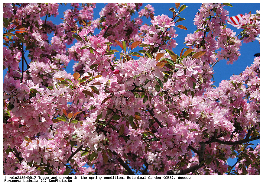 ���, ������������ ���, ������, ��������, ��������� ������ , ��������-�������������, ��������������, �����, ����������