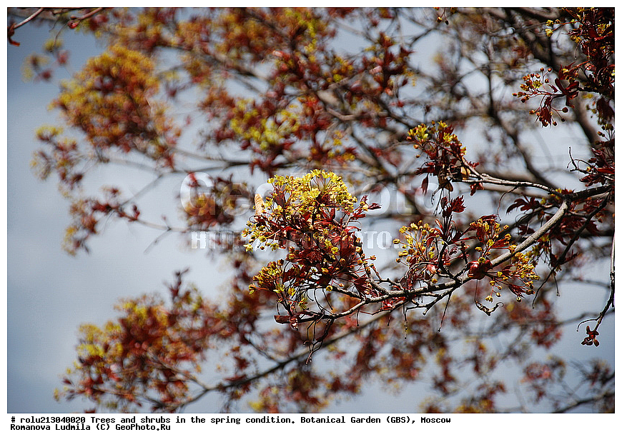 ���, ������������ ���, ������, ��������, ��������� ������ , ��������-�������������, ��������������, �����, ����������